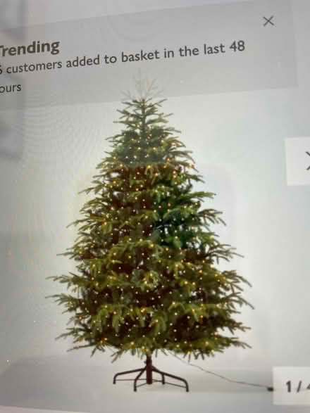 Photo of free Christmas tree (Dinas Powys CF64) #1