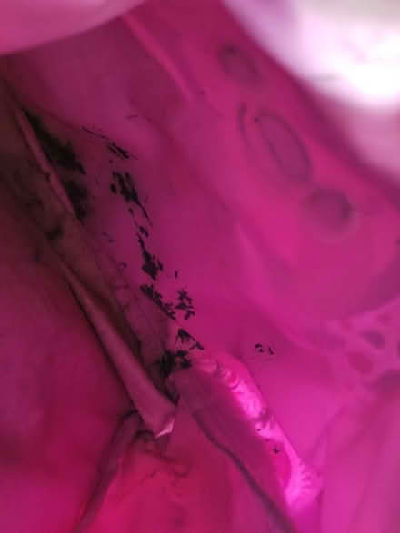 Photo of free Smiggle sloth bag (New Marston OX3) #3