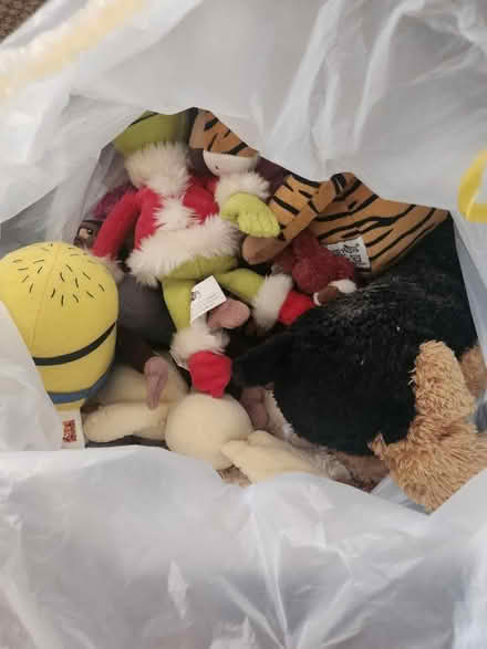 Photo of free Bag of teddies (Bognor Regis - PO22) #1