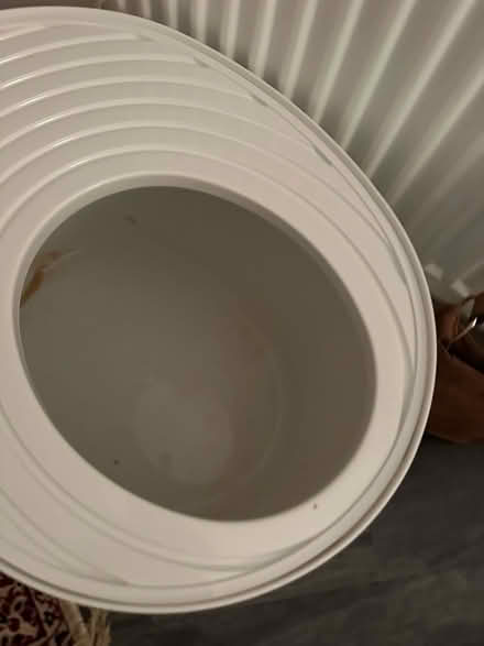 Photo of free Large litter box (Ox2 9SL) #1