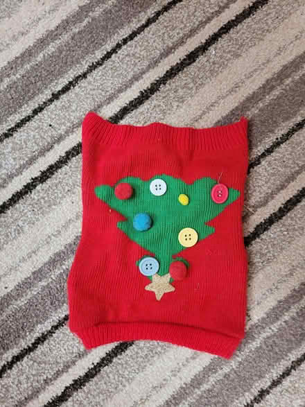 Photo of free Dog xmas jumper (Chessington KT9) #1
