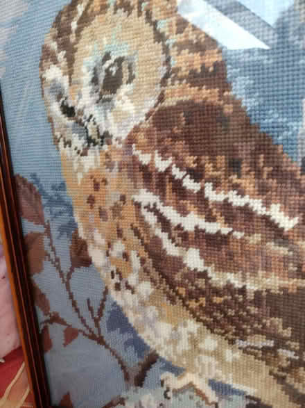 Photo of free Owl tapestry picture (Llandrindod LD1) #1