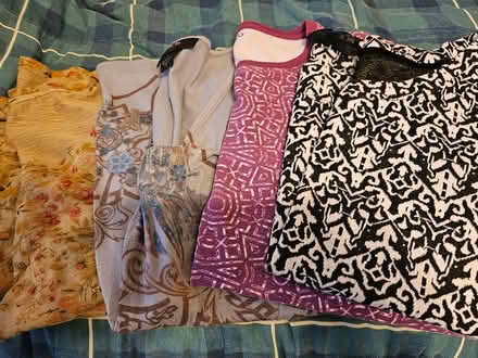 Photo of free Ladies short sleeve shirts size L (North Denton (288 & 2164)) #1