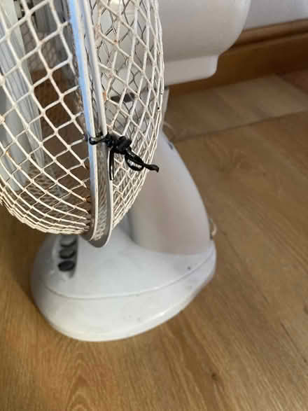 Photo of free Working desktop fan (Mangotsfield, BS16) #2