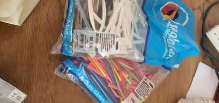 Photo of free Artist balloons (TN35 Ore) #1