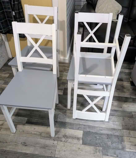 Photo of free 4 modern dining chairs (Moss LL11) #2