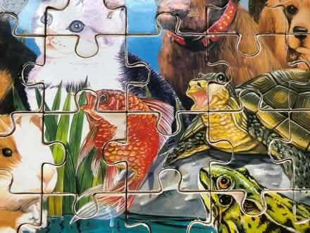 Photo of free 4 puzzles with frame (2x wood, 2x cardboard) (Great Chesterford CB10) #2