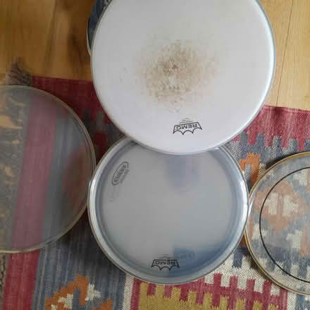 Photo of free Drum heads (Norfolk Park S2) #4