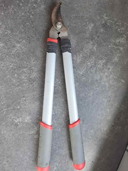 Photo of free Long handled loppers (south ham basingstoke) #1