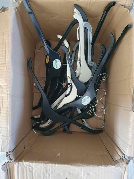 Photo of free 20 coat hangers (Allington ME16) #1
