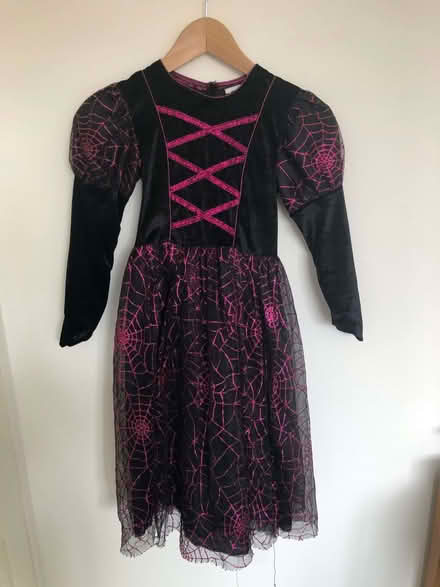 Photo of free Witch costume (size 7-8 years) (Great Chesterford CB10) #1