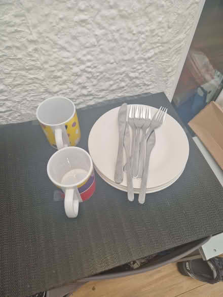 Photo of free Plates, fork,cups (West Thornton CR7) #1