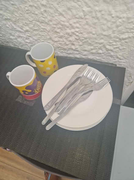 Photo of free 4 Dinner plates 2cups,Forks, Knife (thornton heath) #1