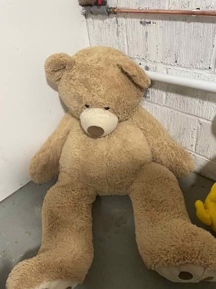 Photo of free Large bear / pikachu (Westlea SN5) #1