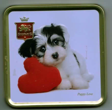 Photo of free Attractive Small Tin (Talbot Village BH12) #1