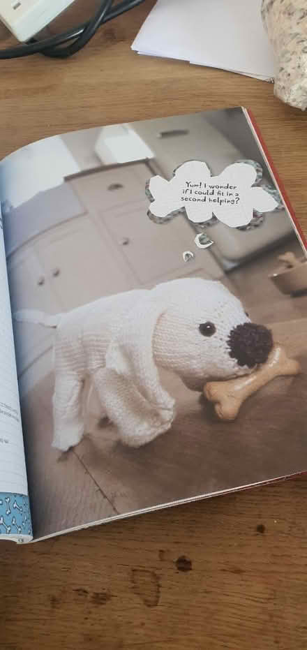 Photo of free Knitting pets (TN35 Ore) #3