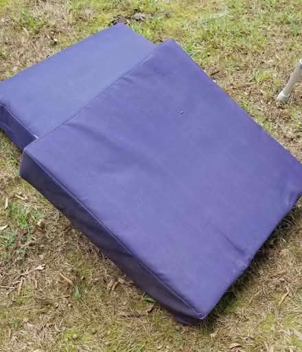 Photo of free Chair cushions (South Stafford) #1