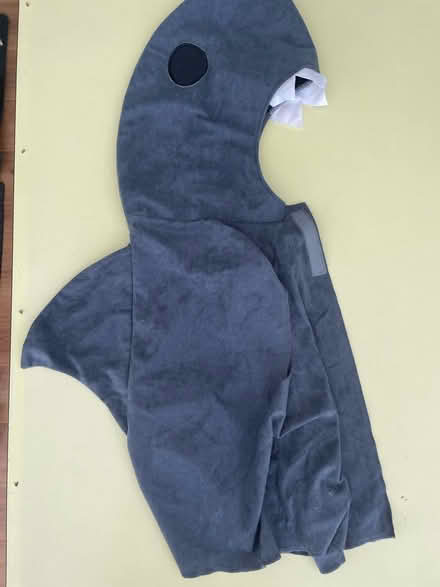 Photo of free Children’s dress up costumes (Lee, SE12) #2