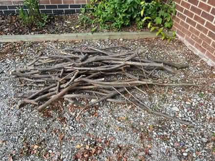 Photo of free Wood (Spondon DE21) #2