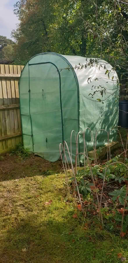 Photo of free Greenhouse RH12 (Broadbridge Heath) #1