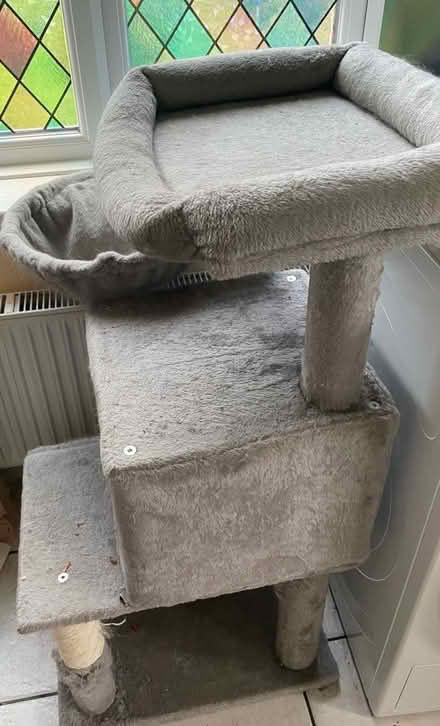 Photo of free Cat tree and litter box (GL52) #1