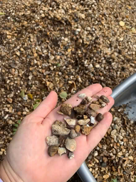 Photo of free Gravel - decorative shingle (Lee SE12) #1