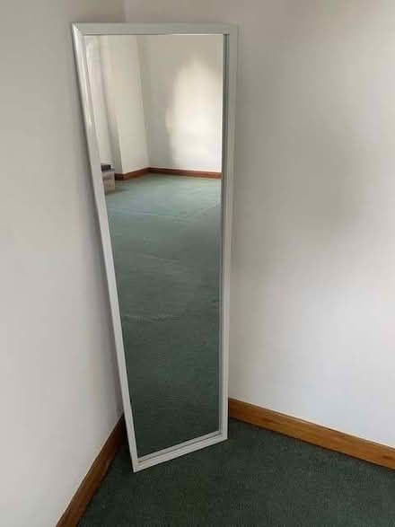 Photo of free Tall Wall Mounted Mirror (ME9) #1