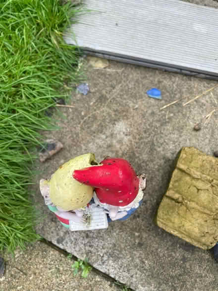 Photo of free Garden gnome (Westlea SN5) #2
