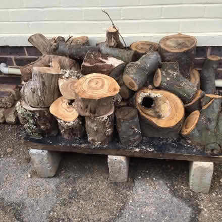 Photo of free Logs (Felpham .Bognor Regis PO22) #1
