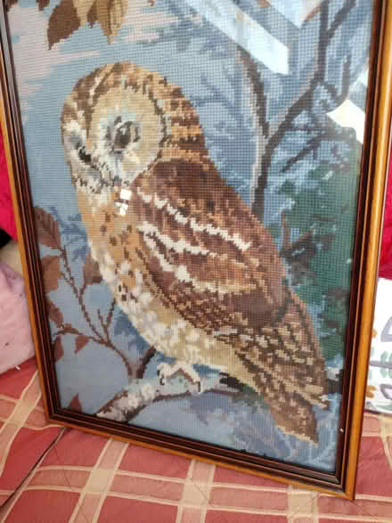 Photo of free Owl tapestry picture (Llandrindod LD1) #2