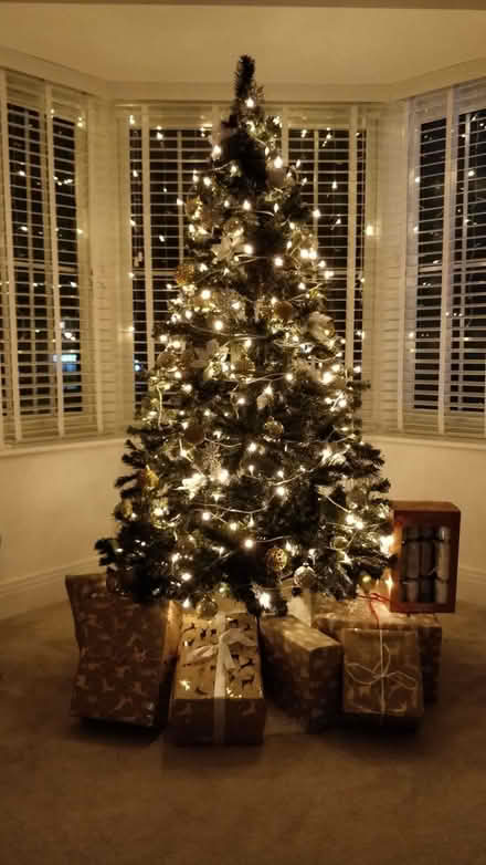 Photo of free Christmas tree (Pe19 6tg) #1