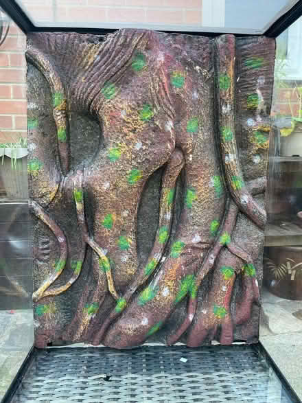 Photo of free Vivarium (NG5 Basford) #2