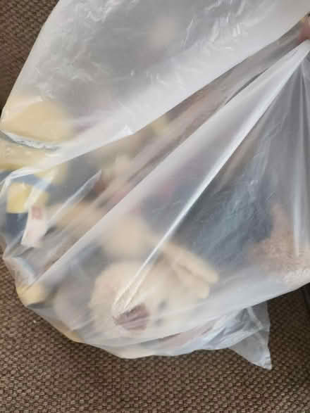 Photo of free Bag of teddies (Bognor Regis - PO22) #2