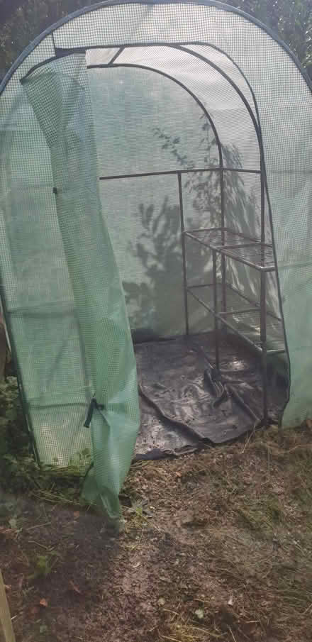 Photo of free Greenhouse RH12 (Broadbridge Heath) #2
