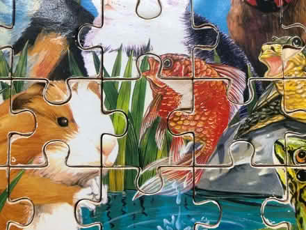 Photo of free 4 puzzles with frame (2x wood, 2x cardboard) (Great Chesterford CB10) #4