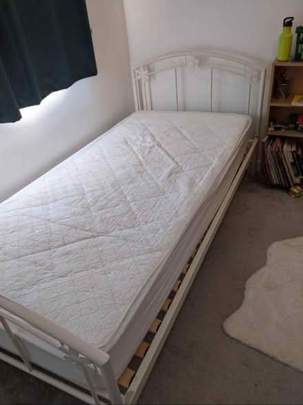 Photo of free Single flower bedframe (Pe19 6tg) #2