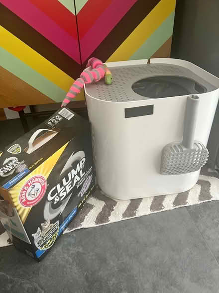 Photo of free Cat litter box + toys (Midtown East) #1