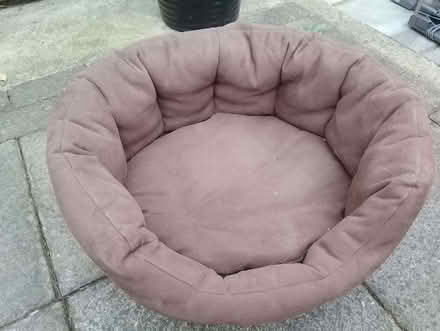 Photo of free Cat / small dog basket (Seven Dials BN3) #1