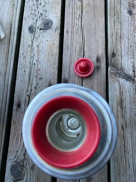 Photo of free Thermos brand thermos and bag (Beverly Hills/Hillcrest/48025) #2