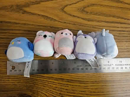 Photo of free squishmallow small plush (North Denton (288 & 2164)) #1