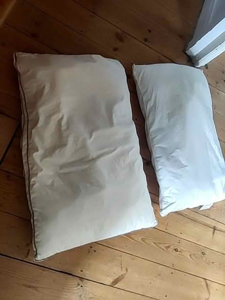 Photo of free 2 pillows (Florence Park OX4) #1