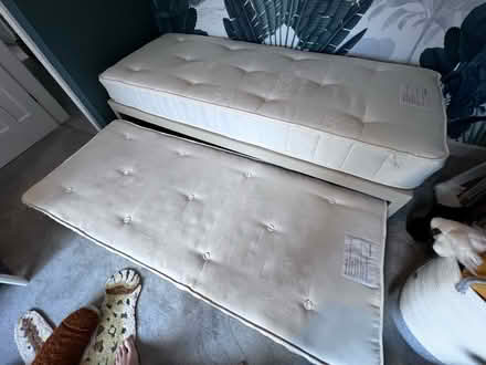 Photo of free John Lewis newton guest bed (Stockport SK7) #3