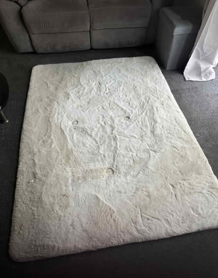 Photo of free Rug (Shelley Rd area, Wboro NN8) #1