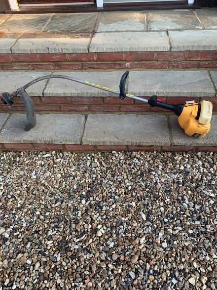 Photo of free Strimmer (Sonning RG4) #2
