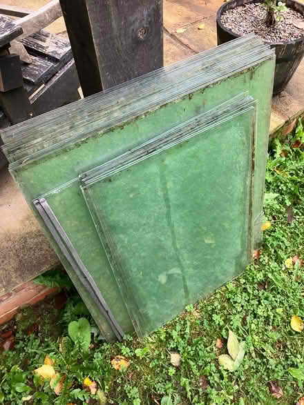 Photo of free Greenhouse glass (Liss) #1