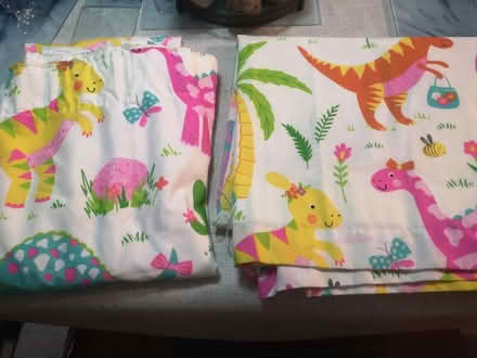 Photo of free Children's dinosaur curtains (BN24) #1