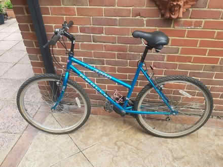 Photo of free Apollo Bicycle (River Thames TW18) #1