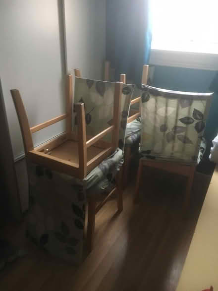 Photo of free Dining table chairs (Frome BA11) #1
