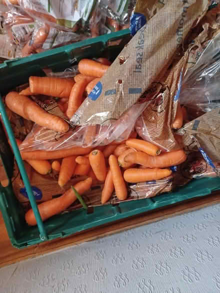 Photo of free Carrots (B63 halesowen) #1