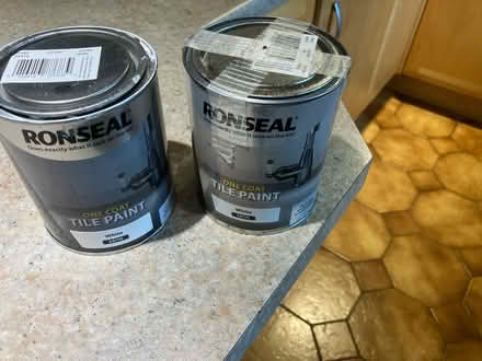Photo of free Tile paint (HP27 Lacey Green) #1